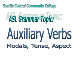 Why are there different categories of auxiliary verbs? Aspect