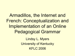 Armadillos, the Internet and French: Conceptualization and