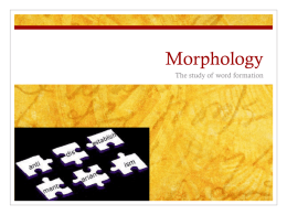 Morphology - edms411-2