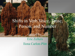 Shifts in Verb Voice, Tense, Person, and Number