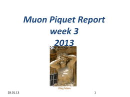 Muon Piquet Report week 41