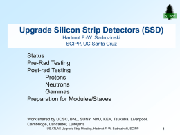Status of Strip Detectors