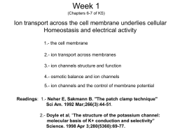 Electrical properties of model cell membranes