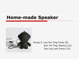 Home-made Speaker