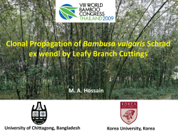 Hossain, M.A. - World Bamboo Organization