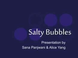 Salty Bubbles
