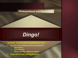 Dingo Game on Photosynthesis and Respiration