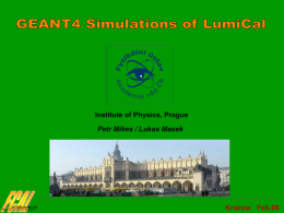 Preliminary results of LumiCal simulation