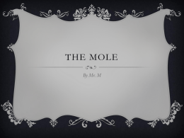 the molex