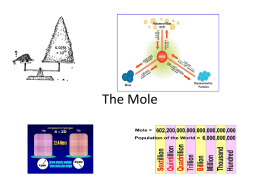 Chapter 11 The Mole