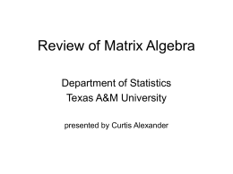 What is a Matrix - Texas A&M University
