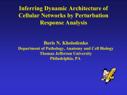 Inferring Dynamic Architecture of Cellular Networks by Perturbation