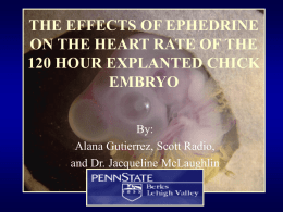 THE EFFECTS OF EPHEDRINE ON THE HEART RATE OF THE EMBRYO