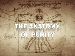 The Anatomy of Purity