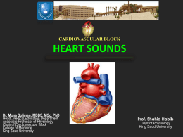 6-(Updated) HeartSounds-2016x