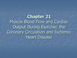 Chapter 21 Muscle Blood Flow and Cardiac Output During Exercise