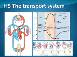 H 5 - The transport system - IBDPBiology-Dnl