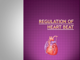 Regulation of heart beat