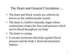 The Heart and General Circulation