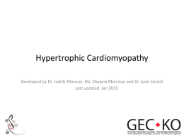 Hypertrophic Cardiomyopathy - GEC-KO
