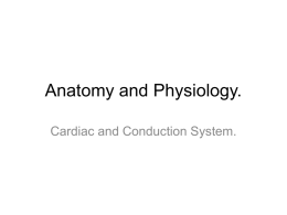 Anatomy and Physiology.