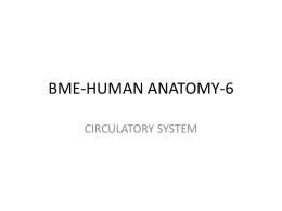 BME-HUMAN ANATOMY-6 - Near East University