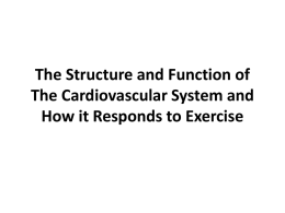 The Structure and Function of The Cardiovascular System