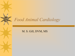Food Animal Cardiology