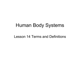 Human Body Systems - Athens Academy ~Homepage