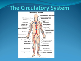 The Circulatory System - Algonquin and Lakeshore Catholic