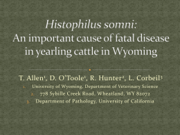 Histophilus somni: An important cause of fatal disease in