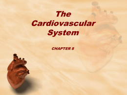 The Cardiovascular System CHAPTER 8