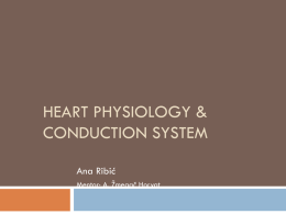HERAT PHYSIOLOGY & CONDUTION SYSTEM