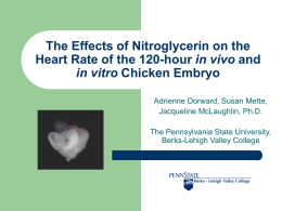 The Effects of Nitroglycerin on the Heart Rate of the 120