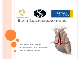 Heart Electrical Activation
