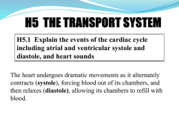 H5 THE TRANSPORT SYSTEM