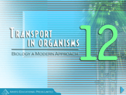 Chapter 12 Transport in Organisms
