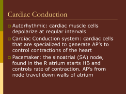 Cardiac Conduction