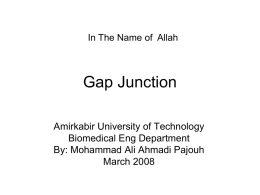 Gap Junction - Amirkabir University of Technology