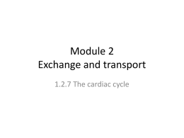 Module 2 Exchange and transport - VBIOLOGY