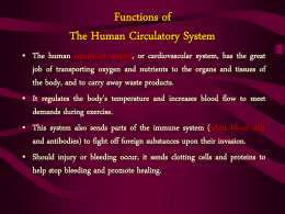 Functions of The Human Circulatory System