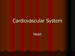 Cardiovascular System - North Seattle College