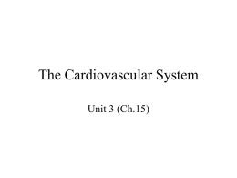 The Cardiovascular System - Mediapolis Community School
