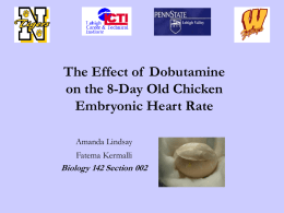 The Effect of Dobutamine on the 8