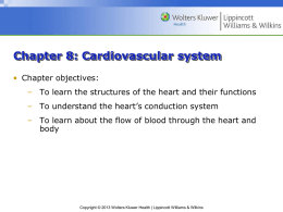 Chapter 8: Cardiovascular system
