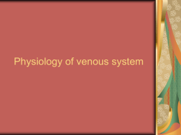 Lecture 28. Physiology of venous system