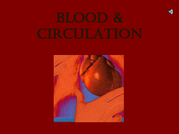 blood_&_circula[on[1]