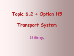 IB bio transport ppt