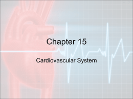 Cardiovascular System PPT - Effingham County Schools