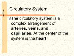 Circulatory Notes
